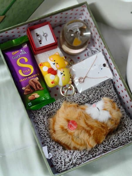 Cute Kitten Gift Hamper