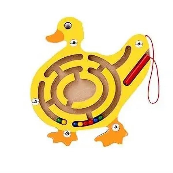 Magnetic Maze