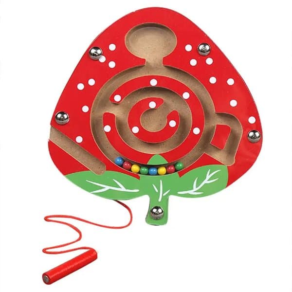 Magnetic Maze - View 6