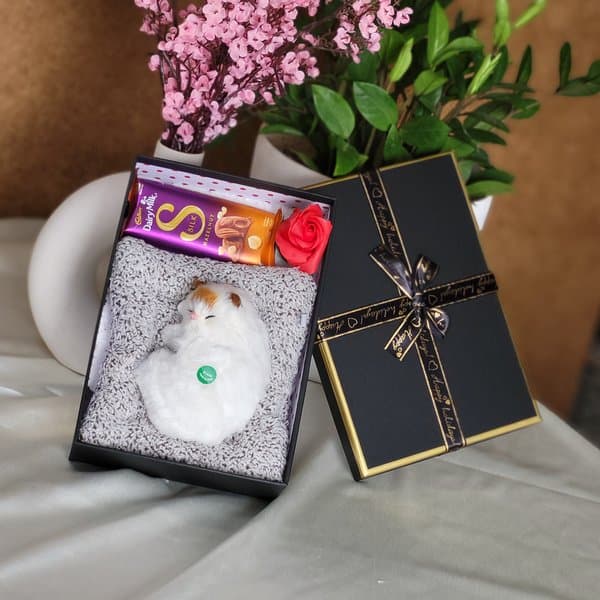 Sleeping Cat Gift Hamper