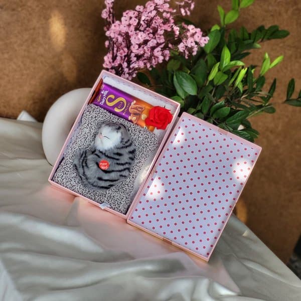 Sleeping Cat Gift Hamper - View 2