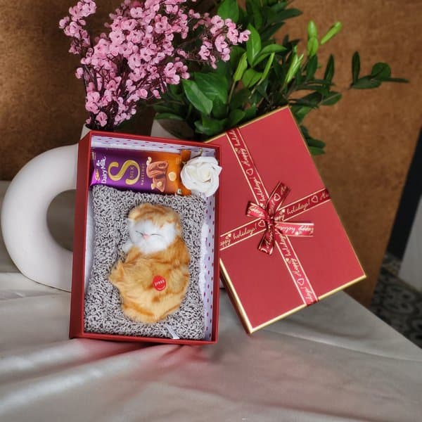 Sleeping Cat Gift Hamper - View 3
